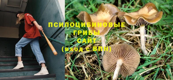 молекула духа Алапаевск