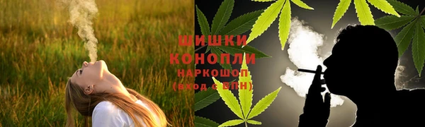 дмт Алагир