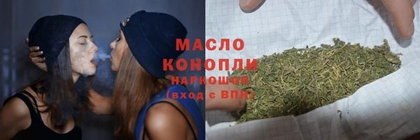 молекула духа Алапаевск