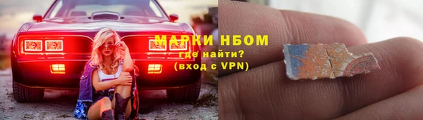 стаф Анжеро-Судженск