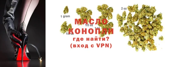 дмт Алагир