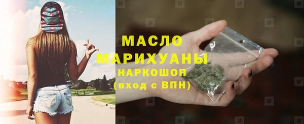 индика Анива