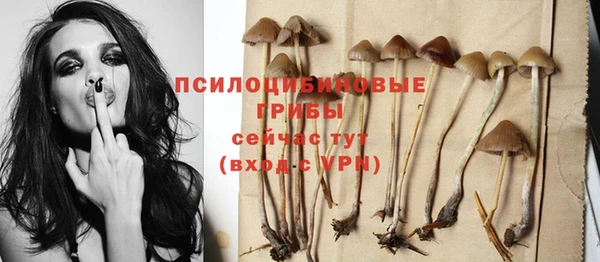 дживик Аксай