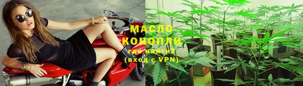 дмт Алагир