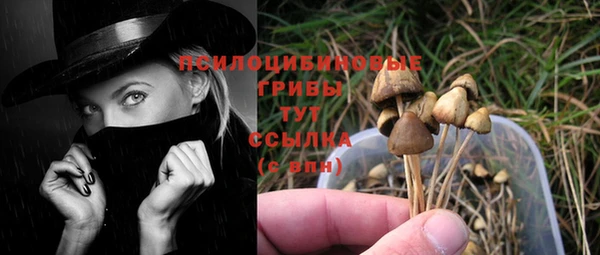 соль ск Апатиты